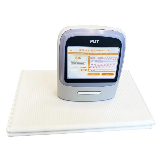 pmt 1